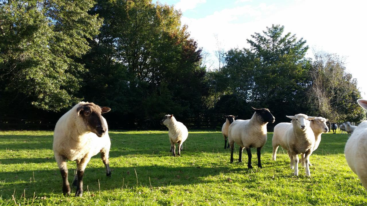 Woodbury Farm Bed and Breakfast Takanini Εξωτερικό φωτογραφία
